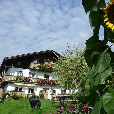 Maurerbauer Farm stay *